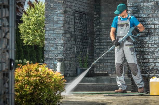 Best Sidewalk and Walkway Cleaning  in Lake Hamilton, FL