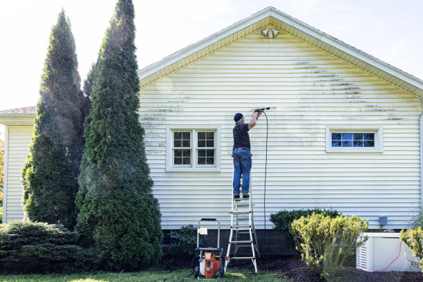 Boat and Dock Cleaning in Lake Hamilton, FL