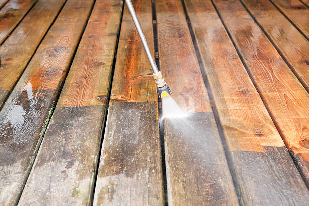 Best Playground Equipment Cleaning  in Lake Hamilton, FL